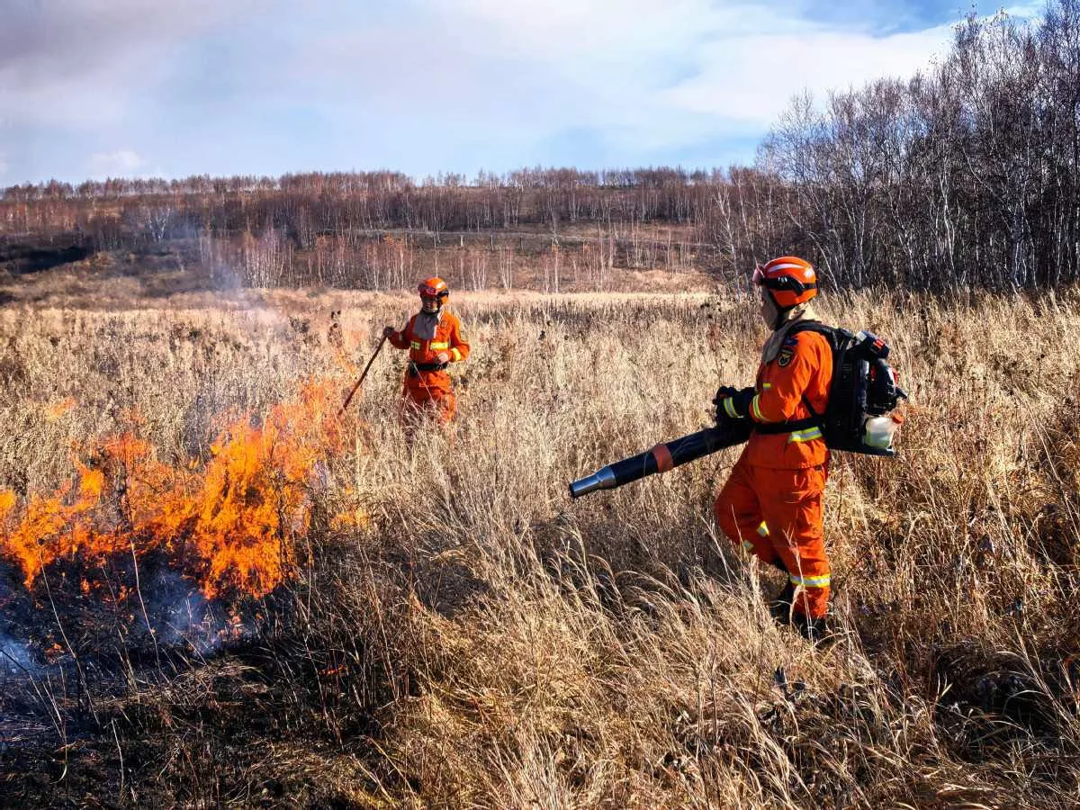 A firefighter tackles flames in dry grassland