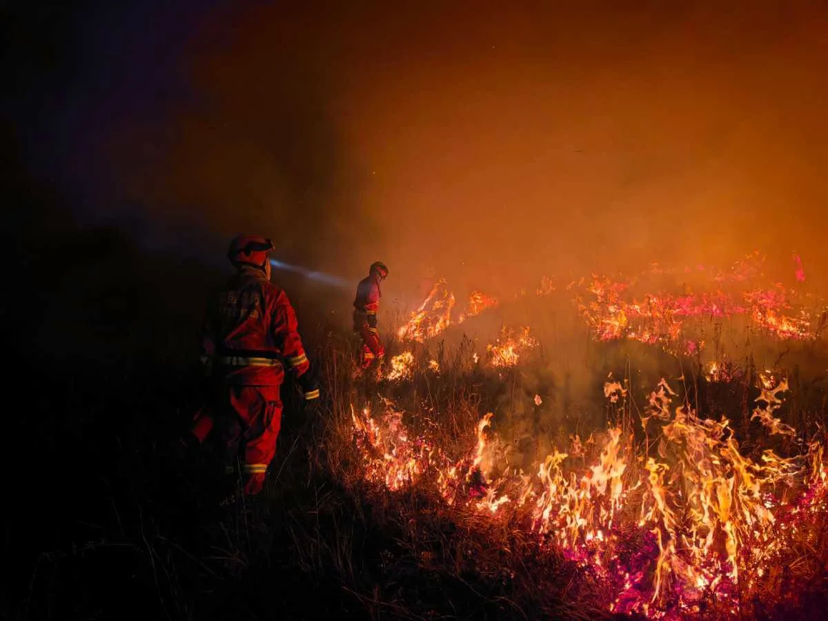 Firefighters battle a grassland fire at night